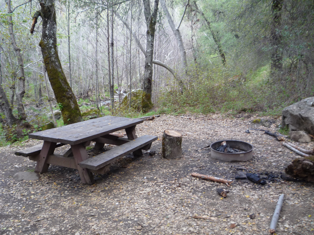 Empty Camping Ground